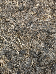 Compost homogénéisé, prêt pour être épandu 4/4
