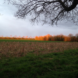 Émerveillés, coopérer avec la nature, chaque jour de l'année