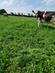 20250503170154-16b9f480