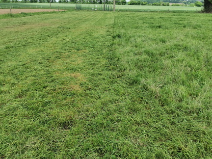 20250503170606-108094e4