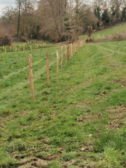 20250504131100-60e05699